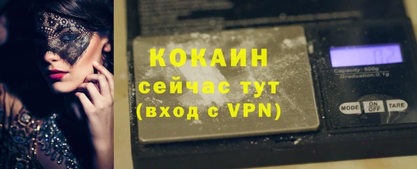 шишки Тында