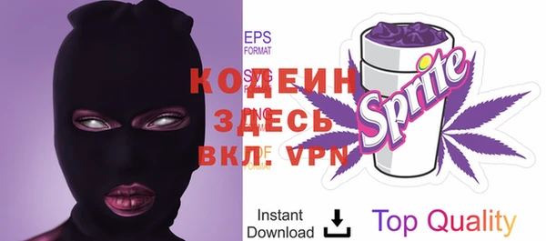 шишки Тында