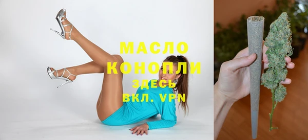 mix Туринск
