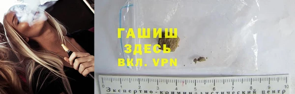 шишки Тында