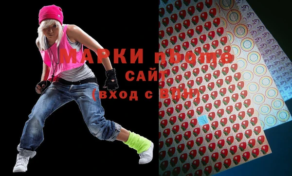 шишки Тында