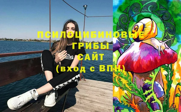 шишки Тында