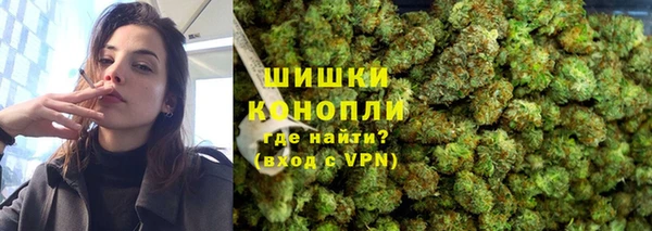 шишки Тында