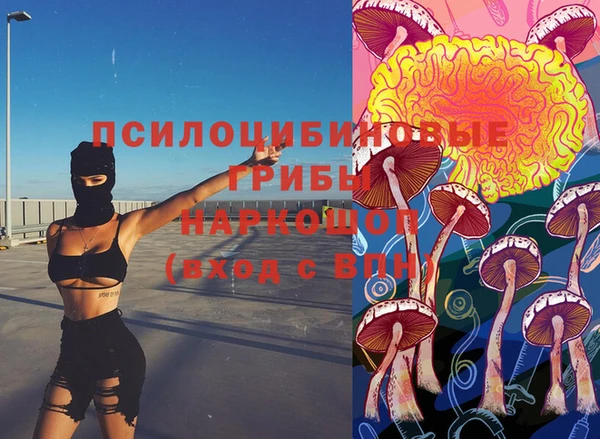тгк Тутаев