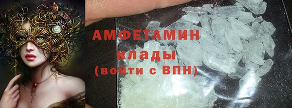 шишки Тында