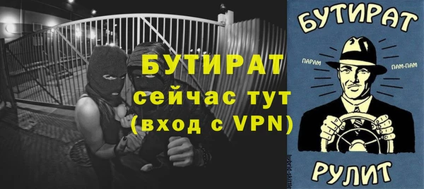шишки Тында