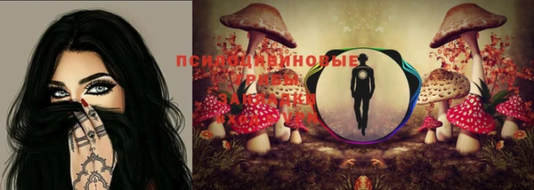 шишки Тында