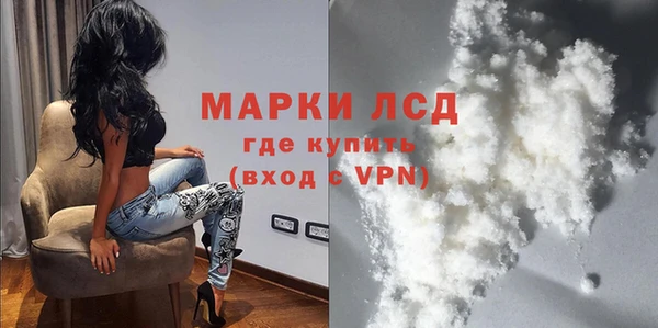 шишки Тында