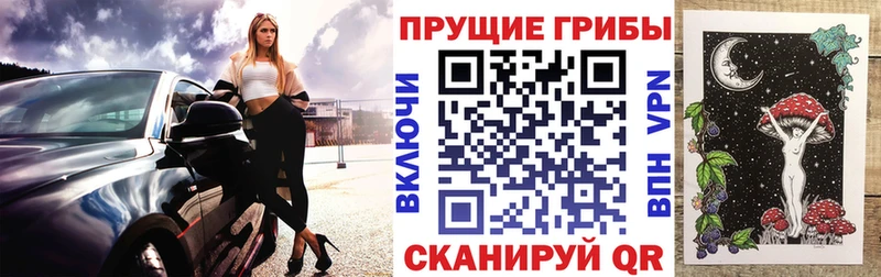 Галлюциногенные грибы Cubensis Советская Гавань